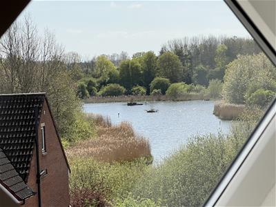 Picture 33